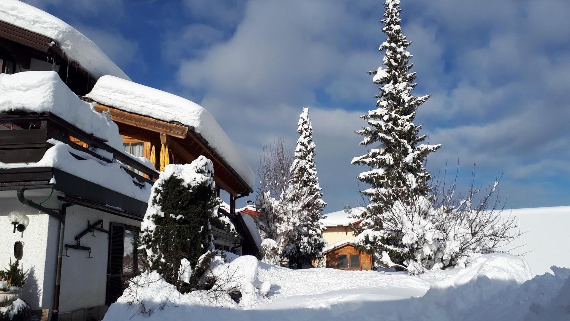 Hotel - Pension - Heidelberg Inkl. Chiemgaukarte Ruhpolding Dış mekan fotoğraf